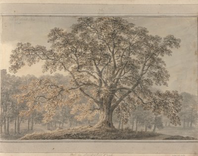 Frêne dans le parc de Londesbro, mai 1800 - Amos Green
