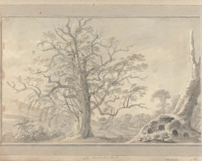 Vues en Angleterre, Écosse et Pays de Galles : Dans le parc de Londesbro