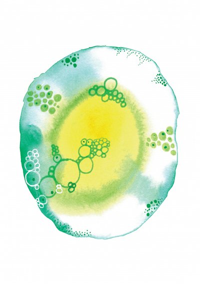 Bulles de fluide organique - Amy Louise Baker