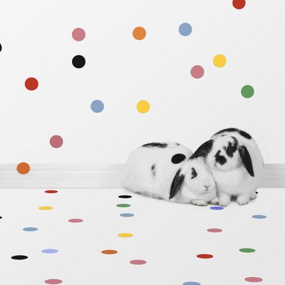 Lapins 05, 2018 (photographie) - Ana Carolina Tavares Mizrahi