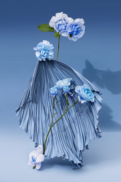 Ikebana 03, 2018 (photography) - Ana Carolina Tavares Mizrahi