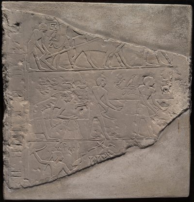 Fragment d