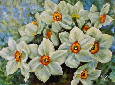 Les jonquilles en fleurs - Anda Bieza