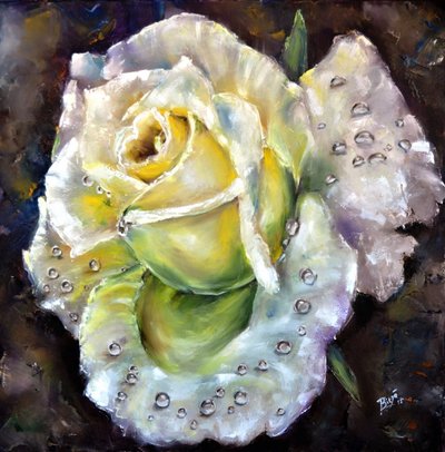 Rose fraîche et éclatante - Anda Bieza