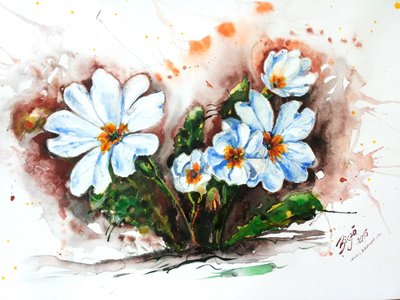 Fleurs aux couleurs vives à l