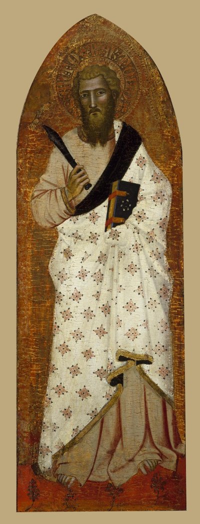 Saint Barthélemy - Andera Bonaiuti