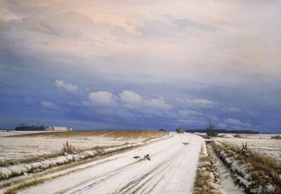 Paysage d