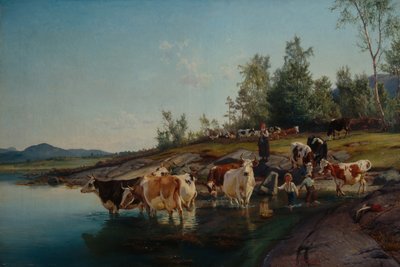 Vaches près de la mer - Anders Askevold