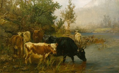 Vaches au bord de l