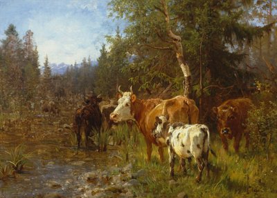 Vaches près du poste d