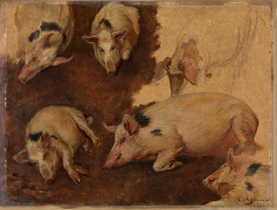 Étude de six cochons - Anders Askevold