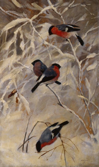 Bouvreuils - Anders Kongsrud