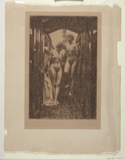 Le Cubicule - Anders Leonard Zorn