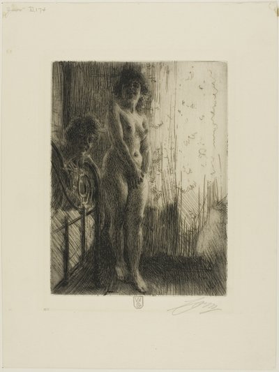 Un coin sombre - Anders Leonard Zorn