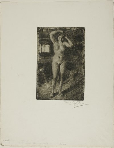 Anna se Coiffant - Anders Leonard Zorn