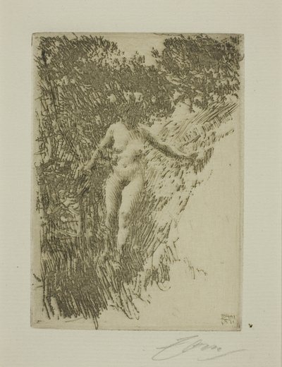 Fagot - Anders Leonard Zorn