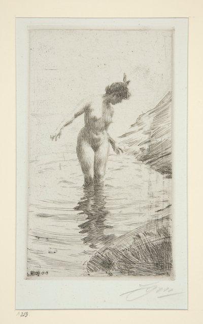 Cercles d - Anders Leonard Zorn
