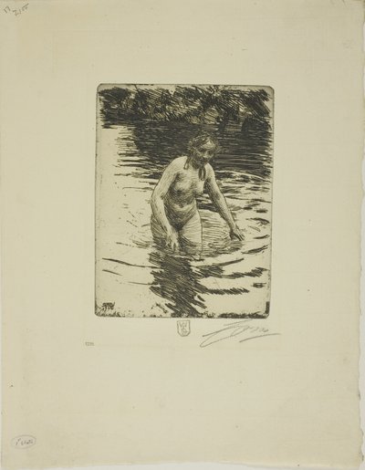 Hemulå II - Anders Leonard Zorn