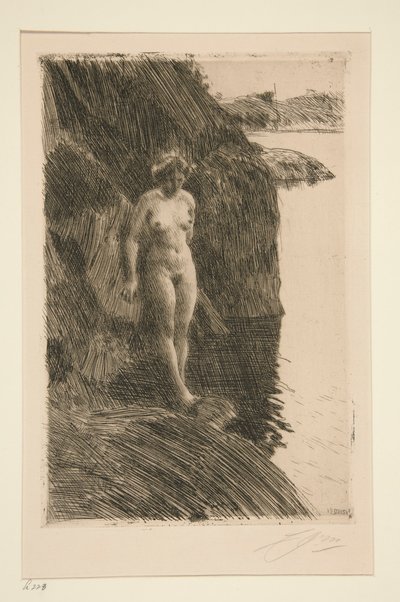 Précipice - Anders Leonard Zorn