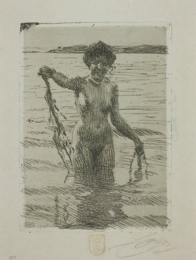 Algues - Anders Leonard Zorn