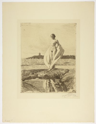 Le Cygne - Anders Leonard Zorn