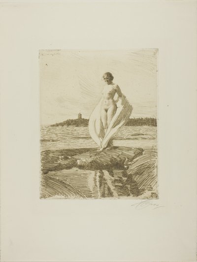 Le Cygne - Anders Leonard Zorn