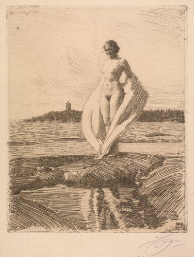 Le cygne - Anders Leonard Zorn