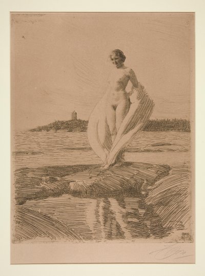 Le Cygne - Anders Leonard Zorn