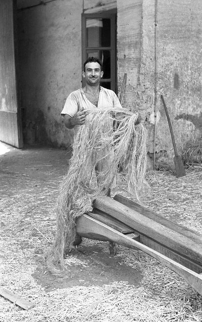  - Ando Gilardi