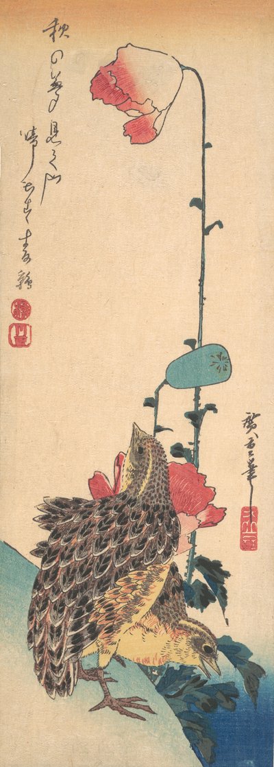 Une paire de cailles et de coquelicots, vers 1835 - Ando Hiroshige