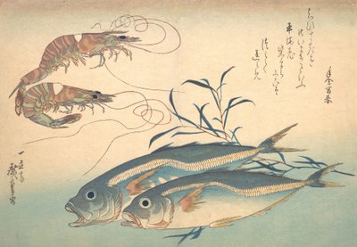 Poisson Aji et Kuruma-ebi, de la série Uozukushi Chaque variété de poisson, années 1830 - Ando Hiroshige
