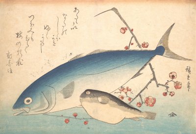Fugu et poisson Inada, de la série Uozukushi Chaque variété de poisson, 1840s - Ando Hiroshige