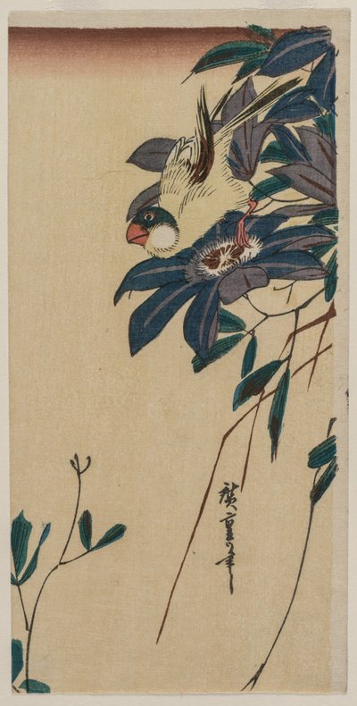 Gros-bec et clématite, milieu des années 1830 - Ando Hiroshige
