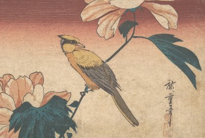 Hibiscus Mutabilis et Geai, ca. 1840 - Ando Hiroshige