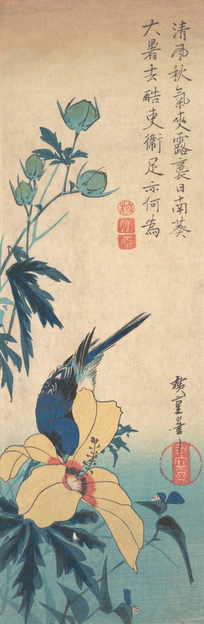 Hibiscus et oiseau bleu - Ando Hiroshige