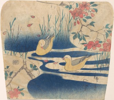 Mouettes rieuses et fleurs de cerisier - Ando Hiroshige