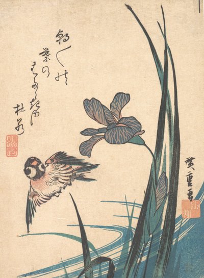 Iris et moineau, vers 1832 - Ando Hiroshige