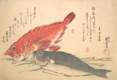 Isaki et poisson Kasago, de la série Uozukushi Chaque variété de poisson, années 1830 - Ando Hiroshige