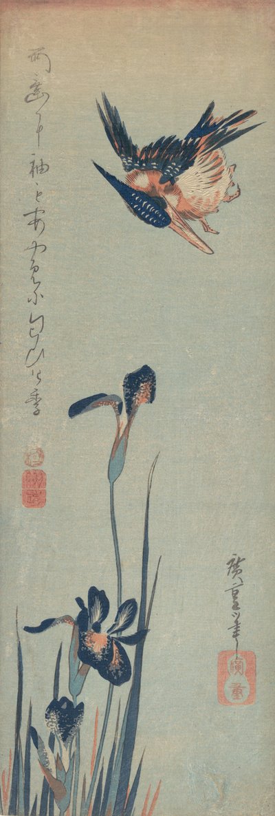 Martin-pêcheur et iris, 1832-34 - Ando Hiroshige