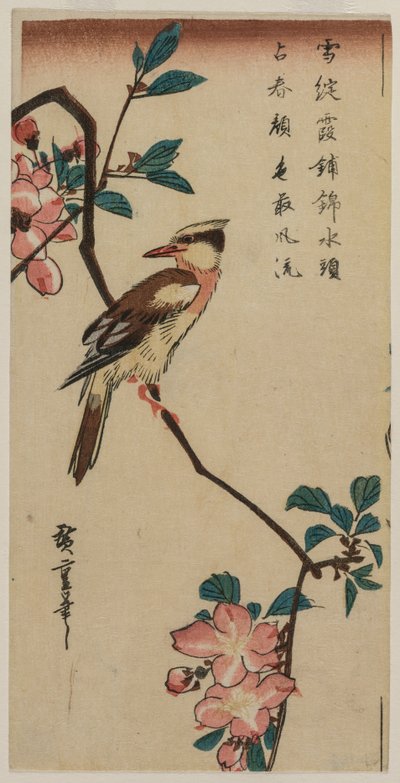 Rossignol coréen sur une branche de cerisier, début ou milieu des années 1830 - Ando Hiroshige