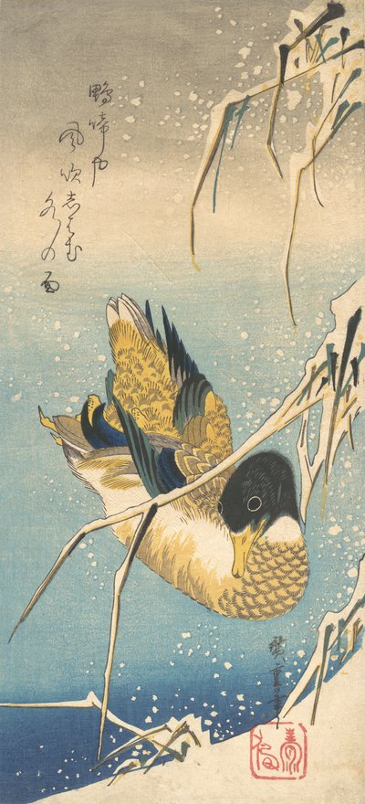 Canard colvert et roseaux enneigés - Ando Hiroshige