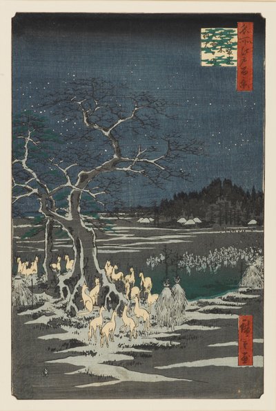 Feux de renard du réveillon du Nouvel An à l