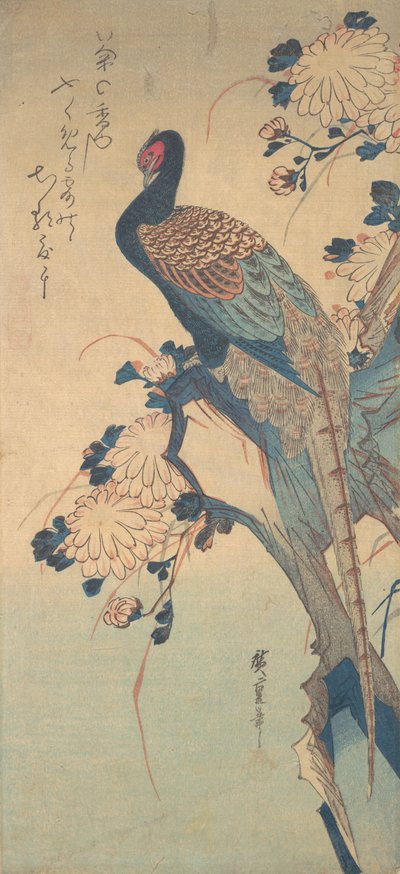 Faisan avec des chrysanthèmes, vers 1835 - Ando Hiroshige