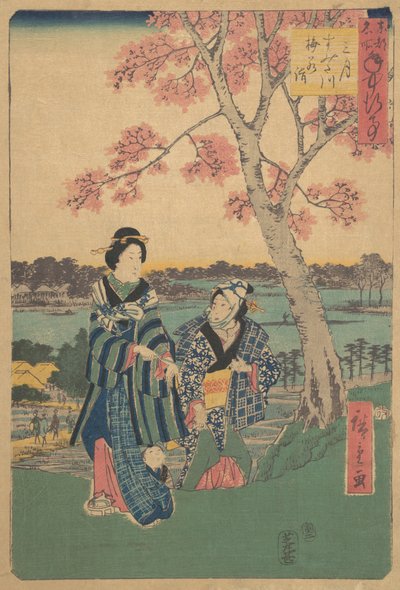 Observation des fleurs de prunier au troisième mois à la rivière Sumida de la série Événements annuels à F..., 1854 - Ando Hiroshige