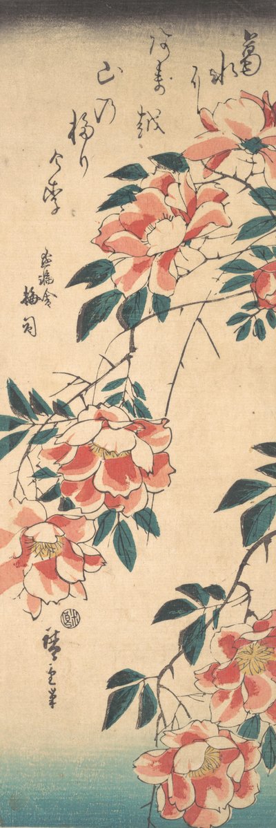 Roses, vers 1843 - Ando Hiroshige