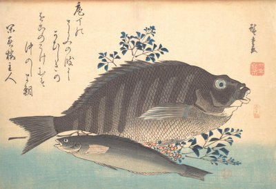 Shimadai et poisson Ainame, de la série Uozukushi Chaque variété de poisson - Ando Hiroshige