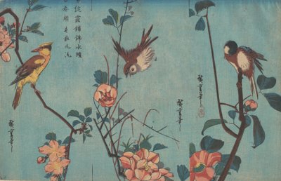 Mésange et camélias à droite, moineau et roses sauvages au centre, et oriole à nuque noire..., vers 1833. - Ando Hiroshige