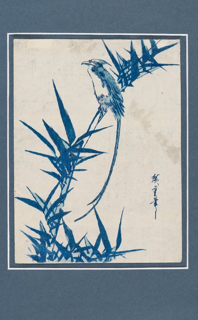 Estampe Ukiyo-e - Oiseau sur une branche en bleu, c. 1820-1858 - Ando Hiroshige