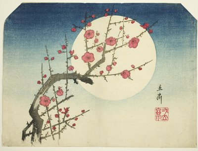 Une branche de prunier rouge contre la lune d