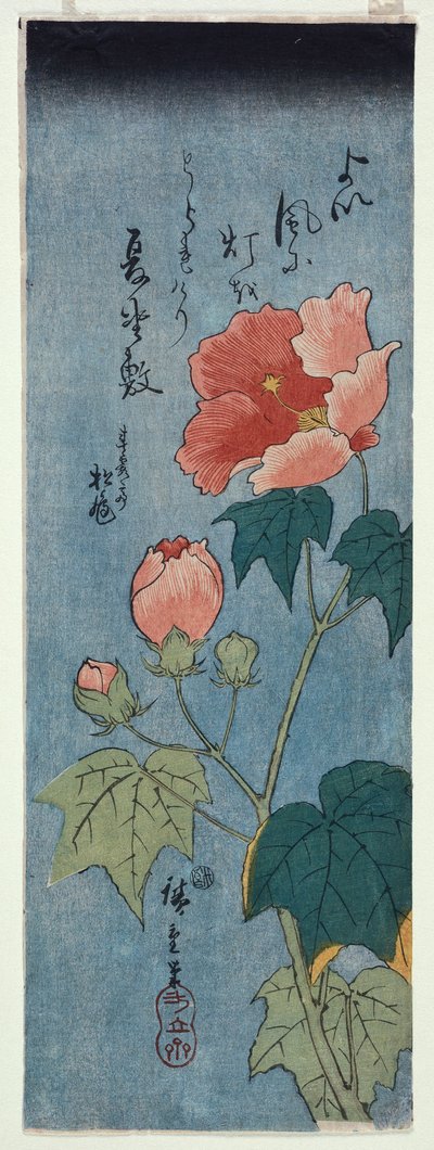 Coquelicots en fleurs, Tanzaku - Ando or Utagawa Hiroshige
